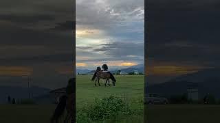 just look like heaven #nature #horse #pokharatravel #pokhara #pokharatour #insidepokhara#saroj