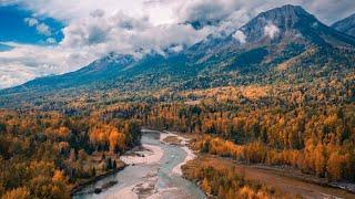 Dry Fly Fishing Cutthroat Trout in Southern BC