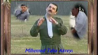  Mihemed Taha Akreyî Gelî bulbula
