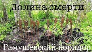 Уже 38 бойцов с этого места ! Раскопки в Рамушевском коридоре смерти.