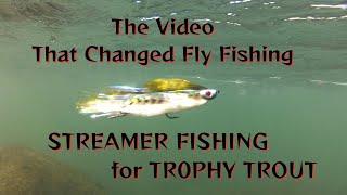 STREAMER FISH FOR TROPHY TROUT