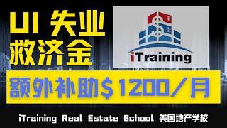 UI  (Unemployment Insurance) 失业救济金 1099! 散工收入! 小摊贩! 也可以领取！