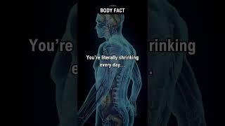 This fact about your body is crazy | The Facts Archive