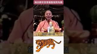 稱念觀世音菩薩聖號而免難(開達法師 老虎) #玅境法師 #心的調色盤