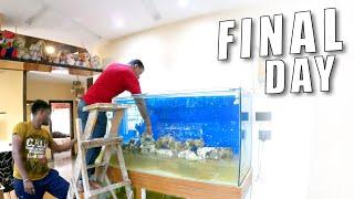 6 FEET MARINE SET UP [the final day] | SEASCAPES | marine aquarium