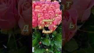 ТЕБЕ КРАСИВАЯ И НЕЖНАЯ КРАСИВЫЕ СЛОВА #лучшее #видео #открытка #shorts #шортс #video #like #радость