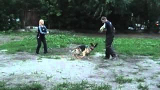 Фанхил Хаус Хиллари. Занятия по защите.
