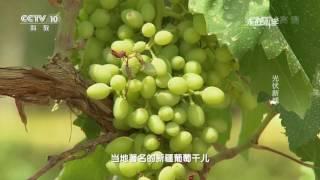 《走近科学》光伏新城 20170718 | CCTV走近科学官方频道