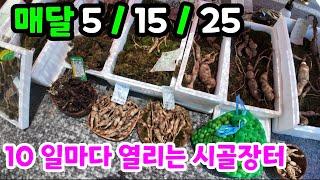 태백 통리 산 꼭대기 마을 에서 10 일 마다 열리는 시골장터