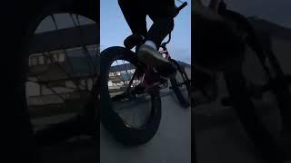 STEEZE 