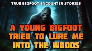 A YOUNG BIGFOOT TRIED TO LURE ME INTO THE WOODS - TRUE BIGFOOT ENCOUNTER STORIES