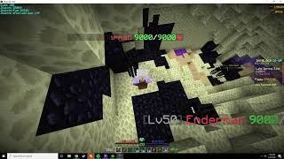 Getting the Legendary Enderman Pet | Hypixel Skyblock