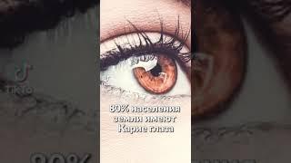 Какой цвет глаз самый редкий?