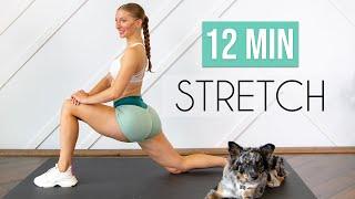 7 ESSENTIAL STRETCHES YOU NEED TO DO DAILY! (12 min Stretch for Flexibility & Mobility)