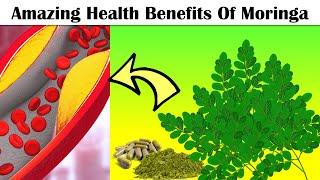 Amazing Health Benefits Of Moringa (Drumstick Tree) |Eat Moringa Everyday To Get These Benefits