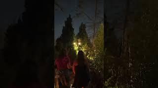 Curse Of the Werewolf Ride at Epic Universe