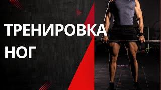ПРОКАЧКА НОГ. 7 Упражнений с весом