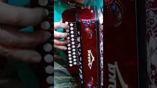 как быстро научиться играть  на гармони три аккорда 300 песен #гармонь