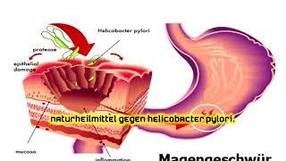 Naturheilmittel gegen Helicobacter Pylori