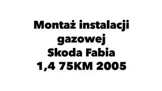 Skoda Fabia (2) - Montaż instalacji Gazowej - Auto Gaz Zielona Góra