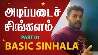 Basic Sinhala | SPOKEN SINHALA IN TAMIL #SpokenSinhalaInTamil