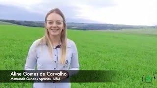 Fitossociologia e Manejo de Plantas Daninhas