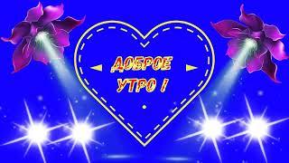 Доброе утро !