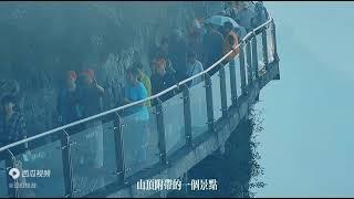 想去张家界旅游的注意了，看完这篇攻略，将自由行玩出高品质