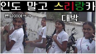 한국인 1도 없는 스리랑카에서 무계획으로 다녀보기 - 인도여행 말고 스리랑카 여행[랜선여행]