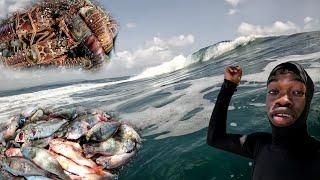 We All Almost Die Today | Rough Sea Spearfishing