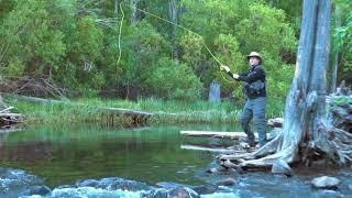 RHYTHM - Fly Fishing Rush Creek (cinematic)