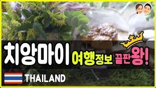 태국 치앙마이 여행정보 끝판왕! 치앙마이 한달살기 계획 중이신가요? 치앙마이 날씨, 치앙마이맛집, 치앙마이호텔 [#태국여행]