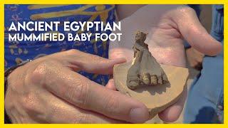 Discovery Of A Mummified Baby's Foot! (Ancient Egypt Documentary Clip)