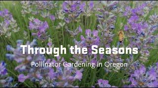 Through the Seasons: Pollinator Gardening in Oregon