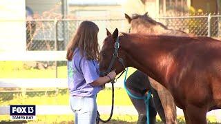 'Saddle Up Riding Club' hoping for greener pastures