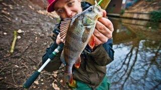 Angeln auf Barsch - Spinnfischen mit Micro-Baits im Winter