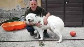 Glücksfellchen ev // Lovie