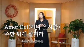 Amor Dei(하나님 사랑), 주만 위해 살리라 | 2025.03.05 CCM교회