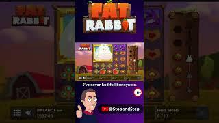 My FATTEST Fat Rabbit EVER!!  BIG Online Slot Win 