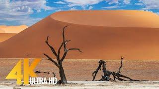 Spectacular Namibia and Botswana - Discovering The Deserts - 4K Relaxation Video