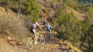 Jamis 650 Bicycle Story