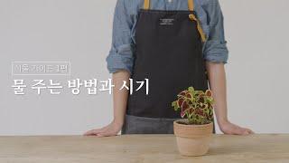 식물 가이드 01. 물 주는 방법과 시기 (시리즈그린 with 그루우) #시그식물가이드