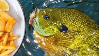 Catching BIG Canoochee River Bluegill for Dinner! (Catch-Clean-Cook)