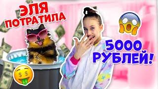 Подарили СОБАКЕ 5000 РУБЛЕЙ Джакузи+ Грумминг+ Вкусняшки