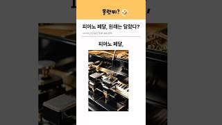 피아노 페달, 원래는 달랐다? #tmi #몰랐찌
