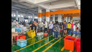 東石觀光魚市：零售買魚市場買海鮮好去處，旁邊就有代料理餐廳