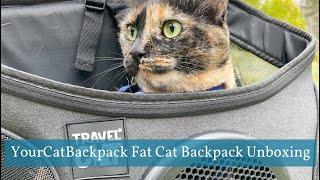 Unboxing Our New Travel Cat Backpack by Your Cat Backpack