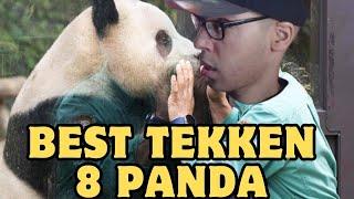 The Best Tekken 8 Panda I Have Ever Faced!