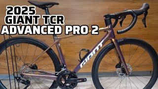 2025 GIANT TCR ADVANCED PRO 2 XS + WEIGHT