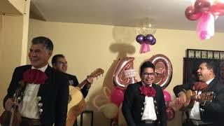 Mariachis mamones, el mono de alambre